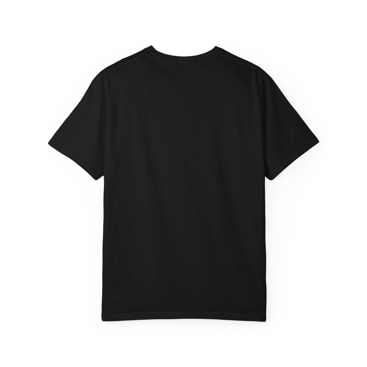 America 250 Patriotic T-Shirt – Land of the Free