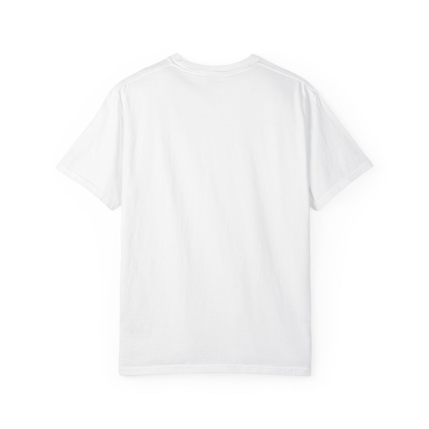 America 250 Patriotic T-Shirt – Land of the Free