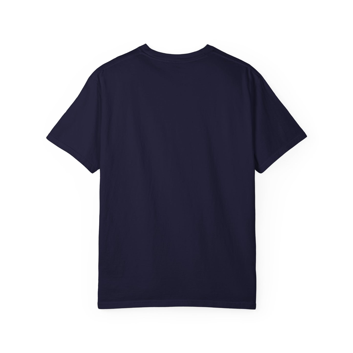 America 250 Patriotic T-Shirt – Land of the Free