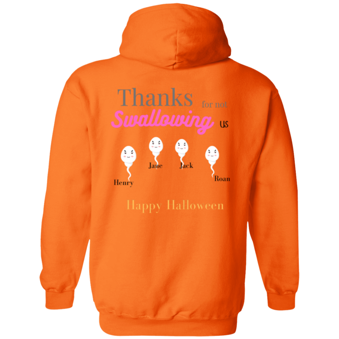 Zip Up Hooded Sweatshirt